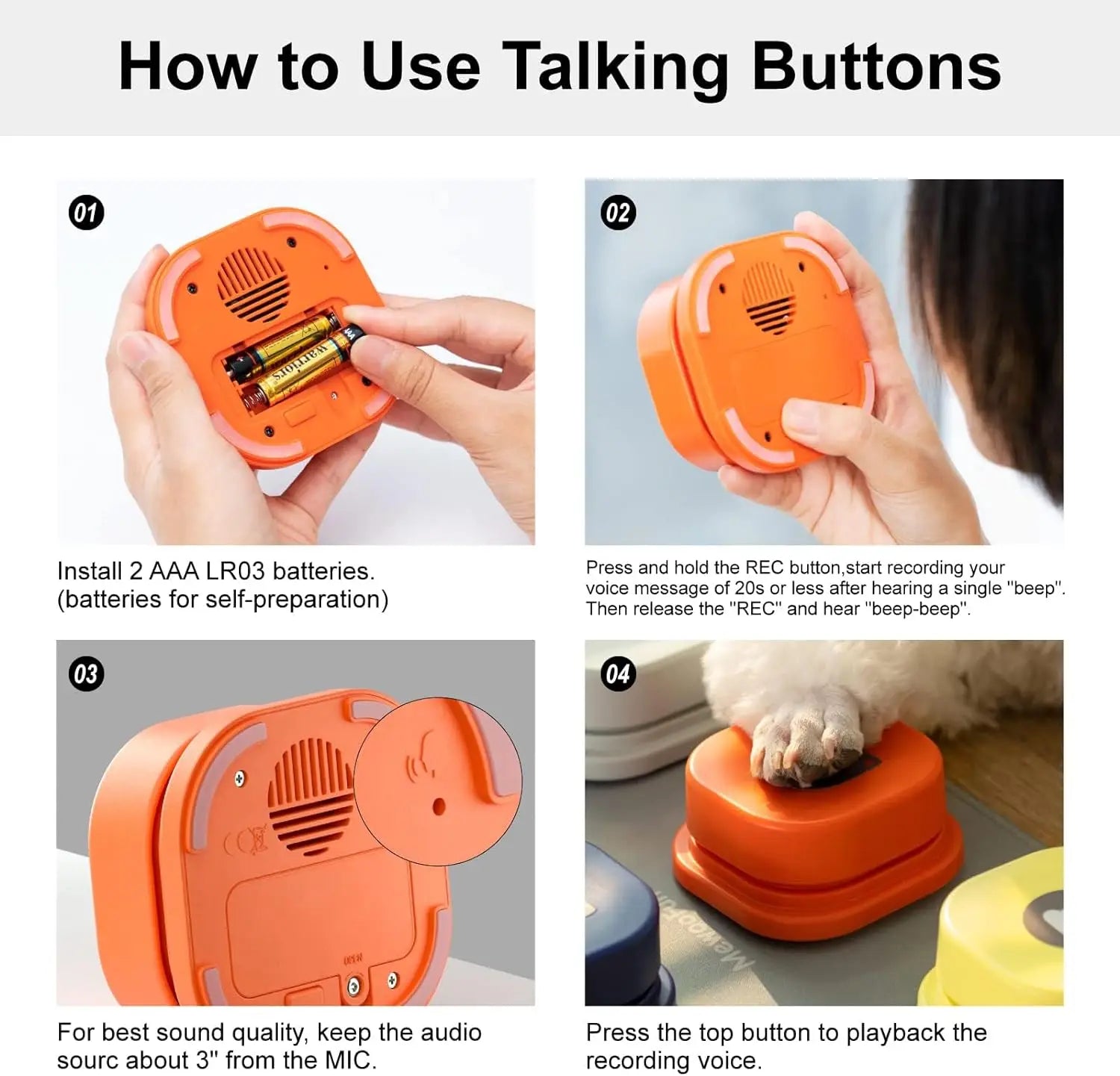 Dog Button Record Talking