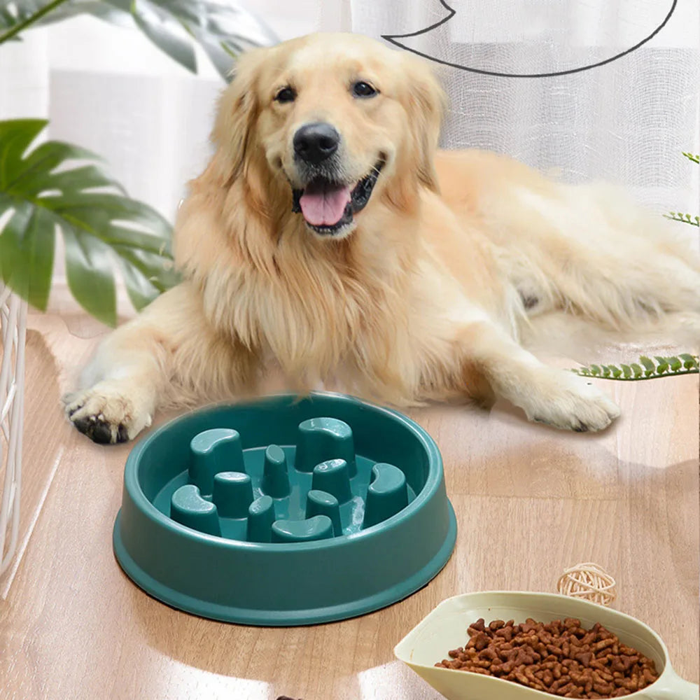 Pet Plastic Feeding Bowl