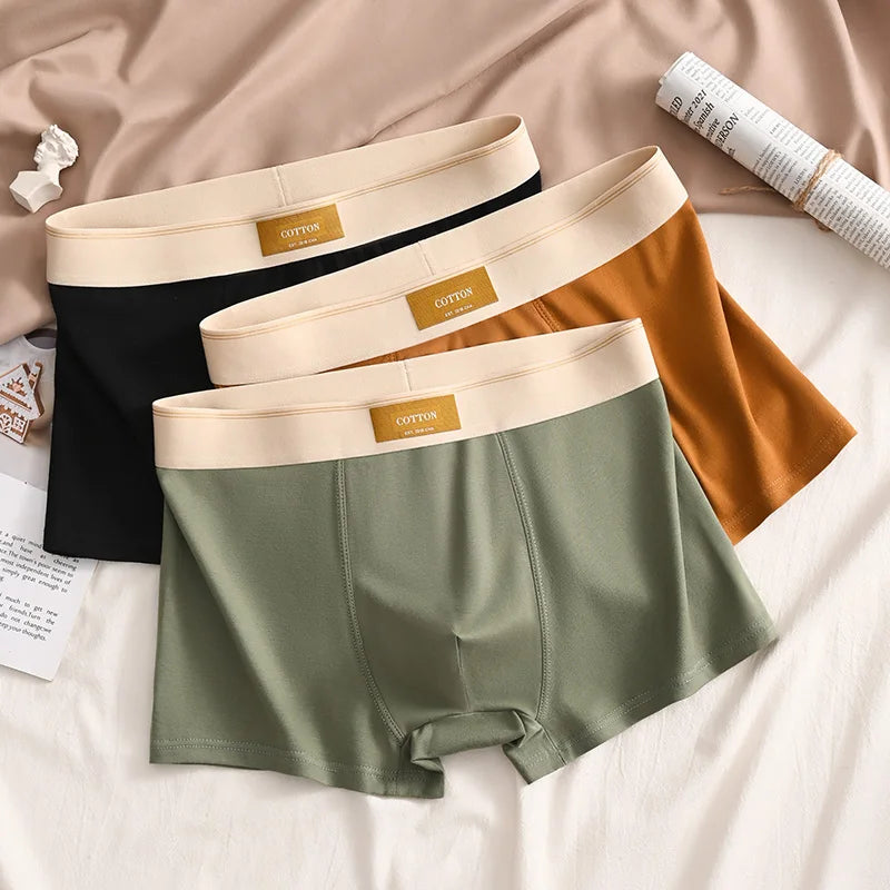 Luxury Men's Underpants.