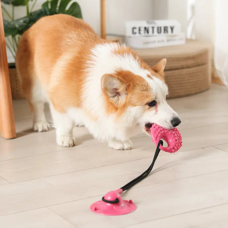 Silicon Suction Cup Tug Interactive Dog Ball Toy