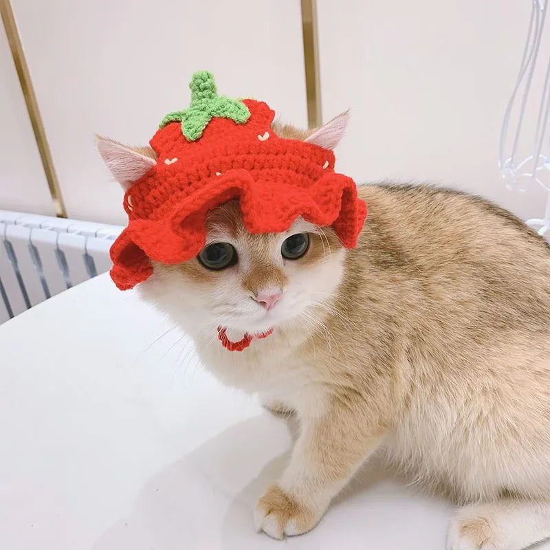 Autumn Winter Cat Hat Elastic Cute Refined Pet Hat