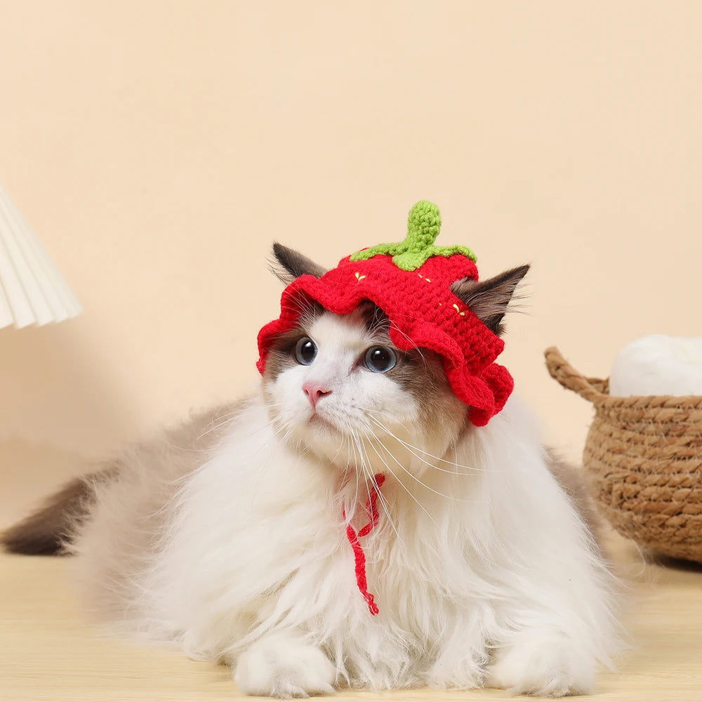 Autumn Winter Cat Hat Elastic Cute Refined Pet Hat