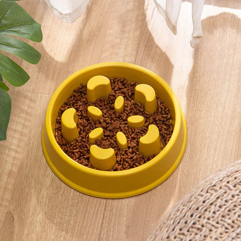 Pet Plastic Feeding Bowl