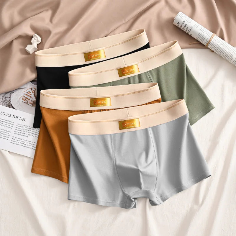 Luxury Men's Underpants.