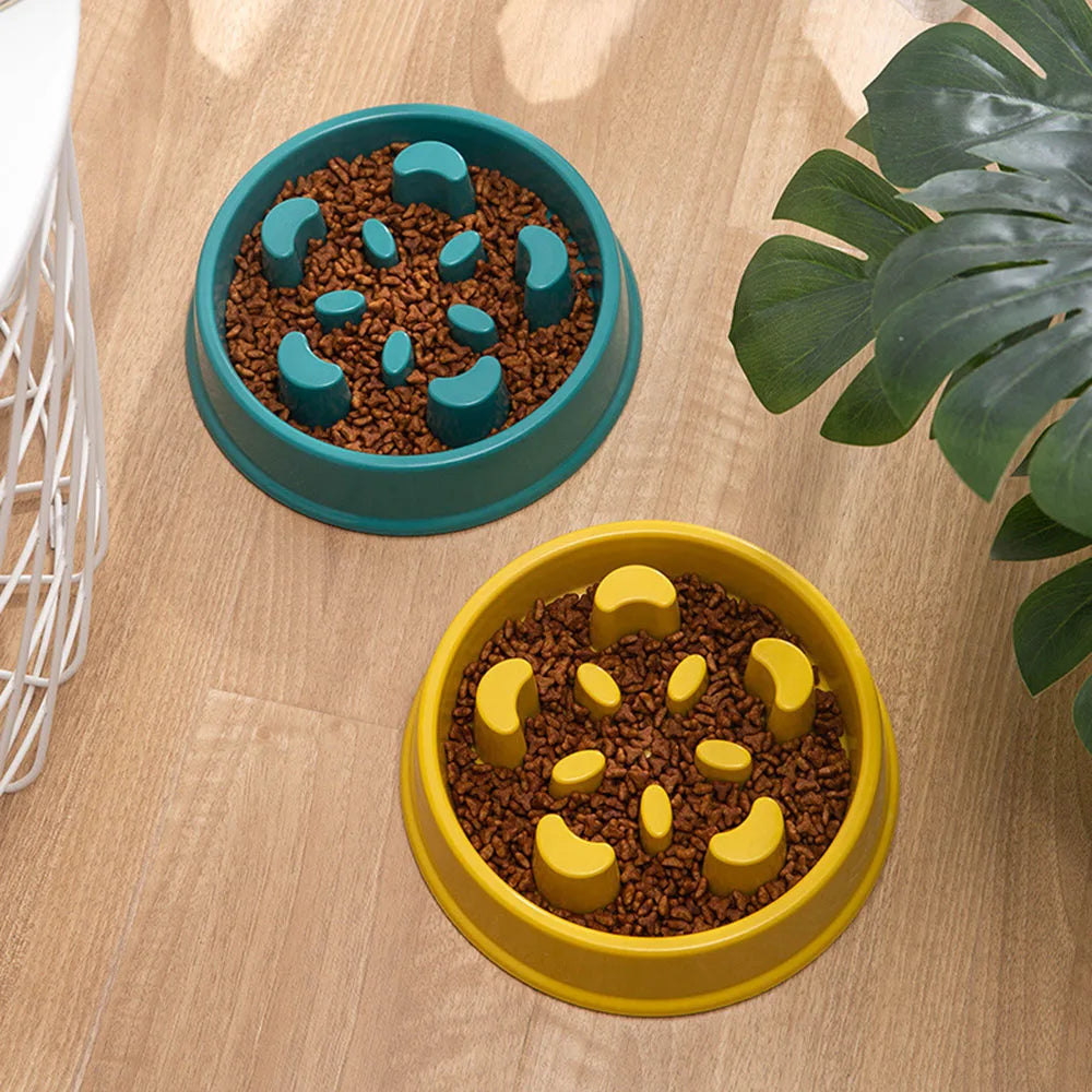 Pet Plastic Feeding Bowl