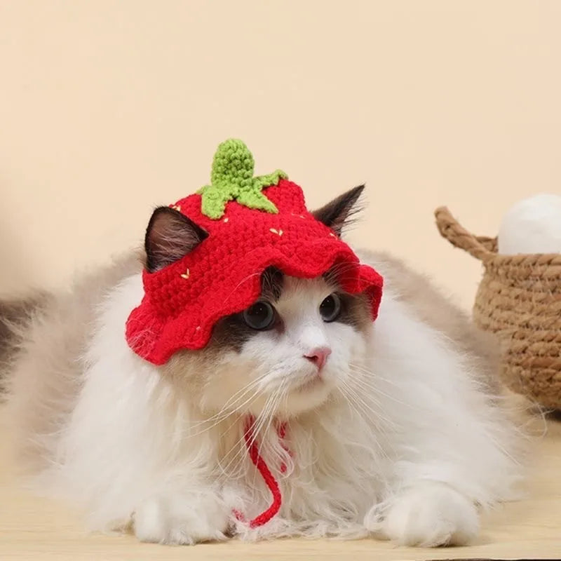 Autumn Winter Cat Hat Elastic Cute Refined Pet Hat