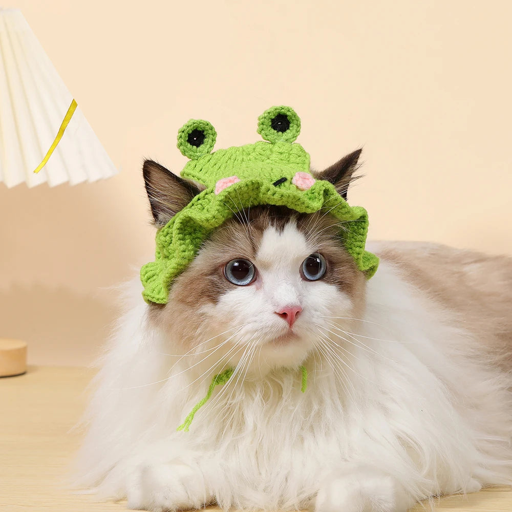 Autumn Winter Cat Hat Elastic Cute Refined Pet Hat