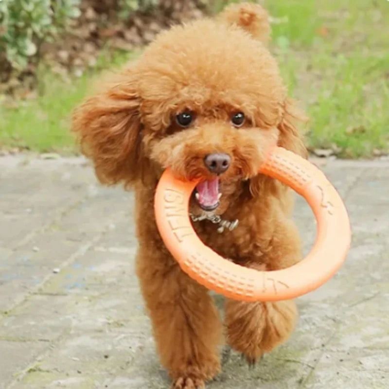 Dog Toys Pet Flying Disk Training Ring