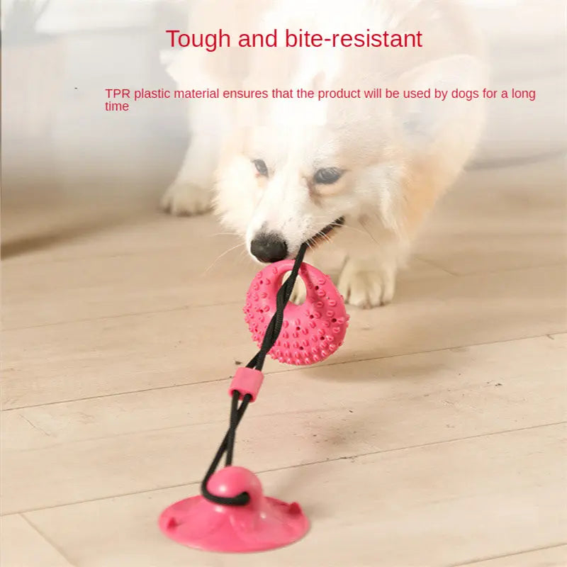 Silicon Suction Cup Tug Interactive Dog Ball Toy