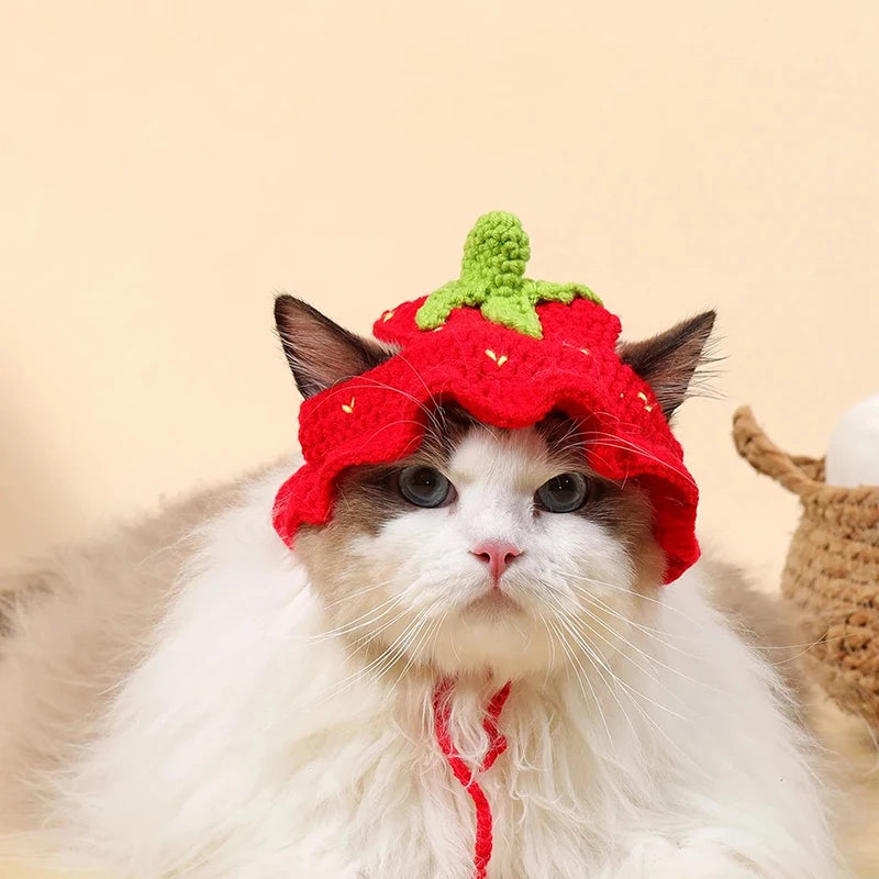 Autumn Winter Cat Hat Elastic Cute Refined Pet Hat