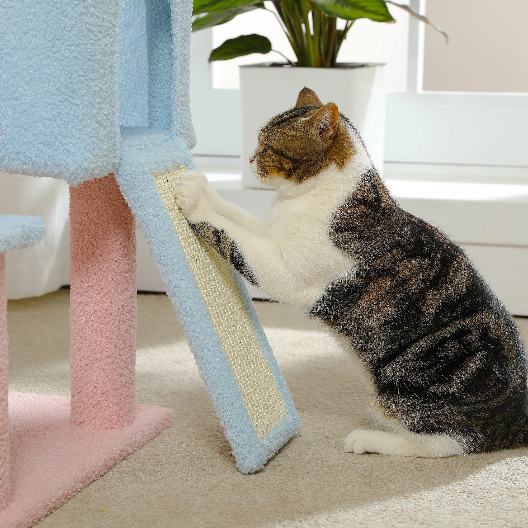 Tree Multi-Level Cat Tower