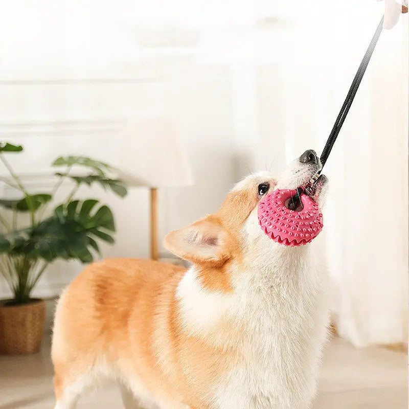 Silicon Suction Cup Tug Interactive Dog Ball Toy