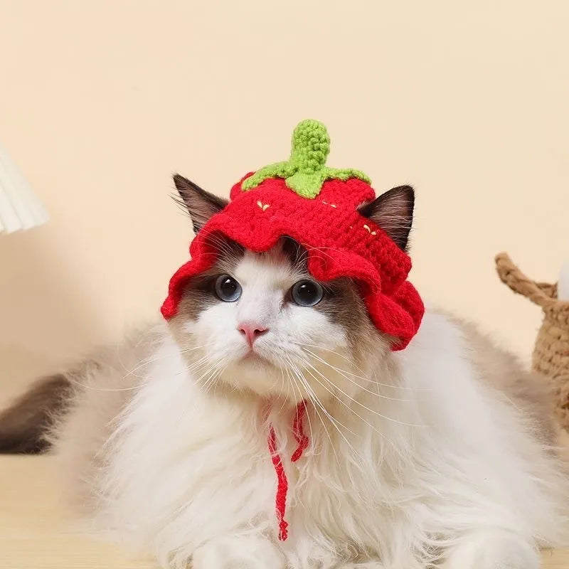 Autumn Winter Cat Hat Elastic Cute Refined Pet Hat